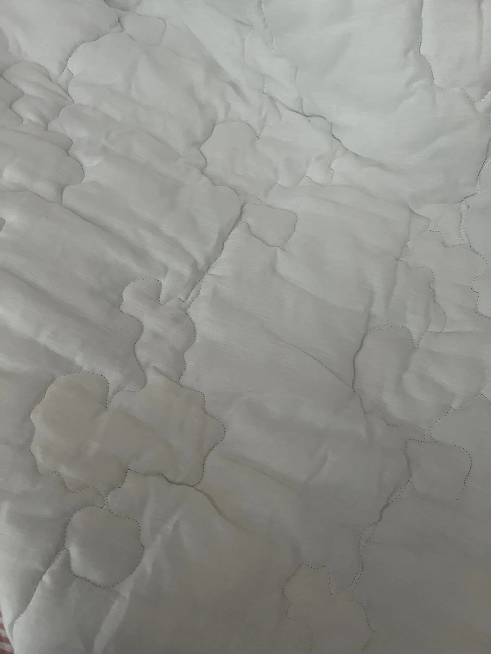 Ethan Allen Custom Bedding Shams Floral Strip Victorian Cottagecore Shabby Chic